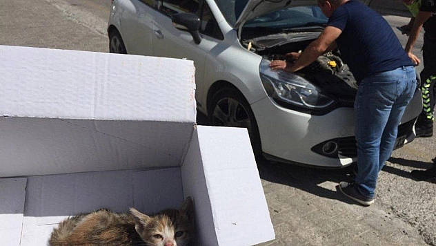 Bodrum'da durdurulan aracın kaputunu açan polisler şok oldu