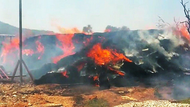 Milas'ta 6 bin balya saman kül oldu