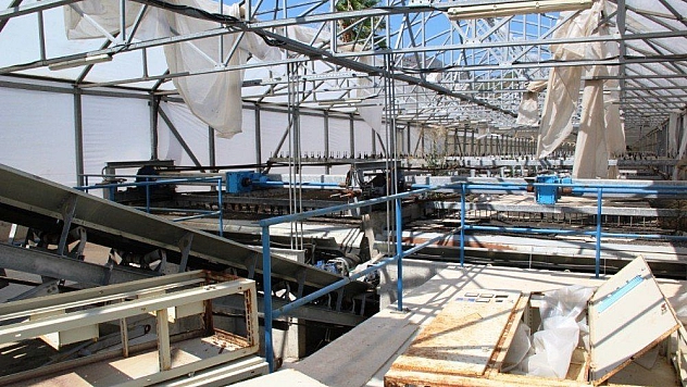 Kavga milli serveti çürüttü, zarar 5 milyon lira