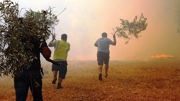 Bodrum'daki orman yangını tehlikeli boyuta ulaştı