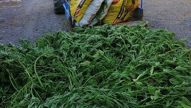 Dalaman'da uyuşturucu operasyonu