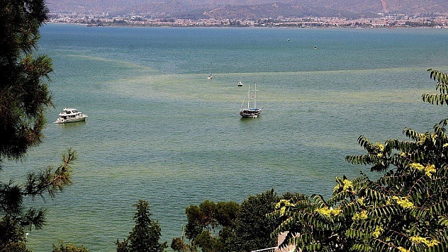 Fethiye Belediye Başkanı Karaca'dan Fethiye Körfezi kirliliği açıklaması