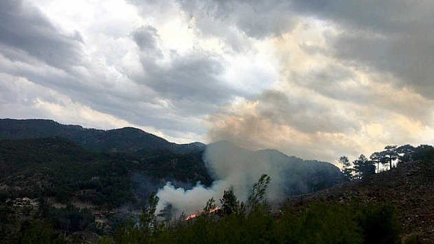 Muğla'da yıldırım yangınları