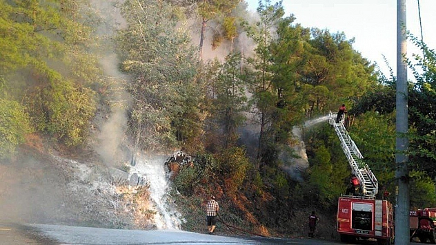 Ortaca'da orman yangını