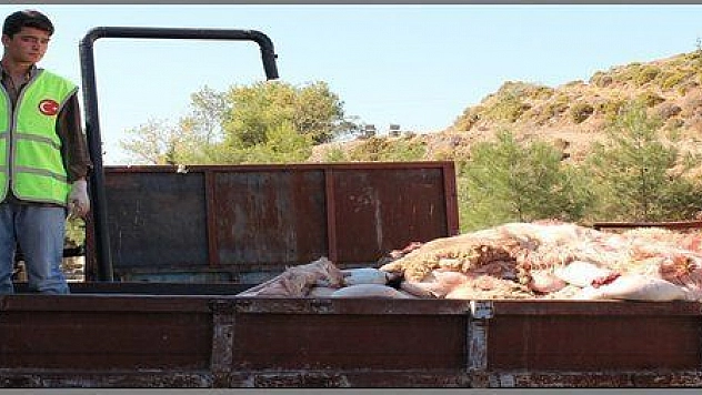 THK 13 BİN 323 ADET DERİ TOPLADI