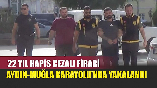 22 Yıl Hapis Cezalı Firari, Aydın-Muğla Karayolu'nda Yakalandı