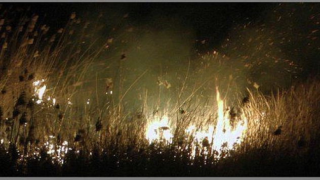  SAZLIK ALANDAKİ YANGINI İTFAİYE SÖNDÜRDÜ