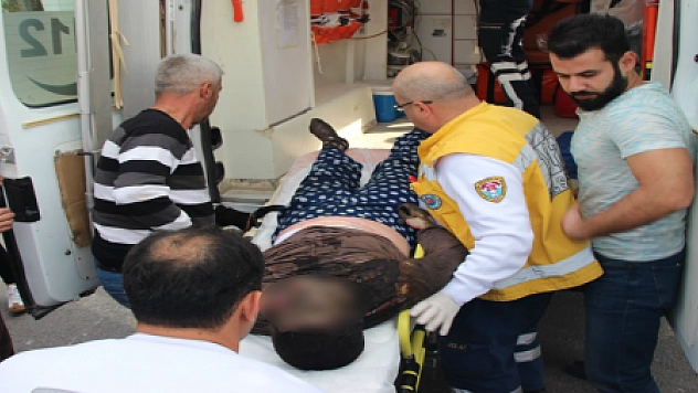 YANGINDA CAN PAZARI: 1 ÖLÜ 3 YARALI...