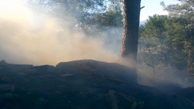 YANGINA VATANDAŞ MÜDAHALE ETTİ...