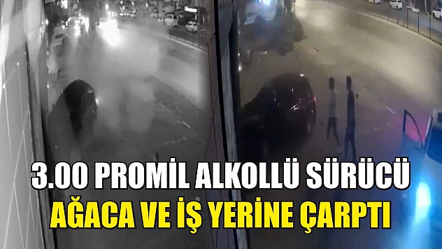 3.00 Promil Alkollü Sürücü Ağaca ve İş Yerine Çarptı