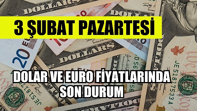 3 Şubat Pazartesi: Dolar ve Euro fiyatlarında son durum