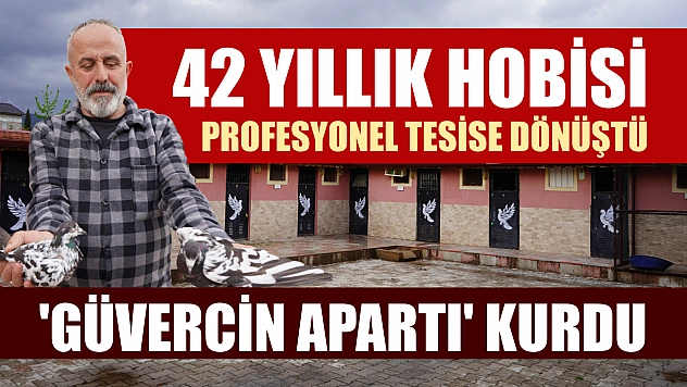 42 yıllık hobisi, profesyonel tesise dönüştü 'güvercin apartı' kurdu