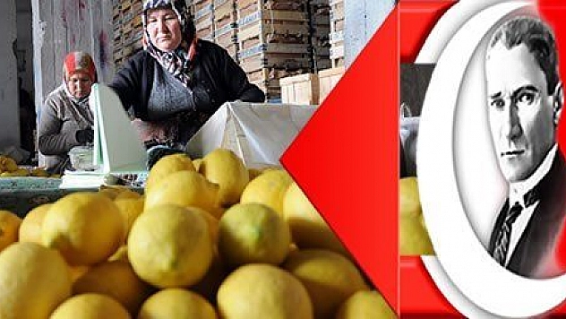 Limon değerleneceği güne kadar yatakta