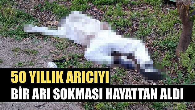 50 yıllık arıcıyı bir arı sokması hayattan aldı
