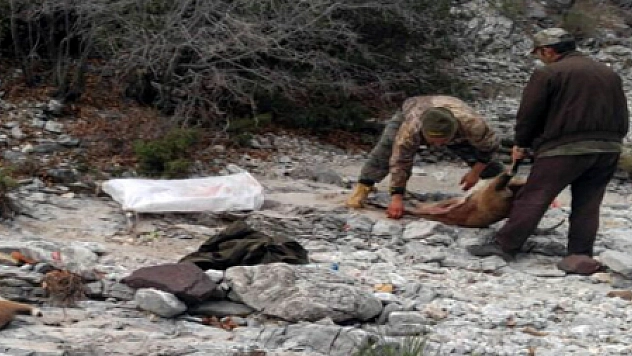 JANDARMADAN AV OPERASYONU...