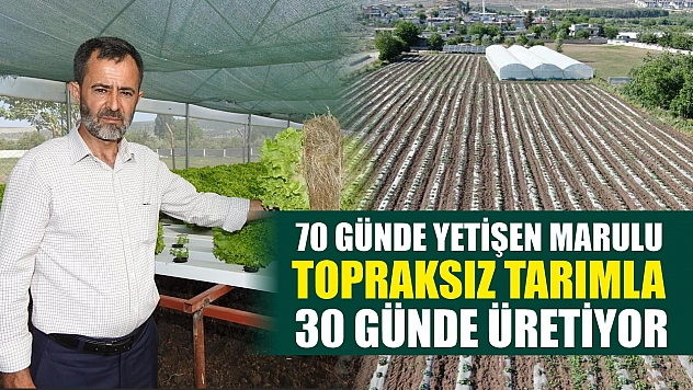 70 günde yetişen marulu topraksız tarımla 30 günde üretiyor