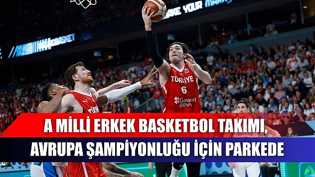 A Milli Erkek Basketbol Takımı, Avrupa şampiyonluğu için parkede