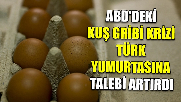 ABD'deki kuş gribi krizi Türk yumurtasına talebi artırdı