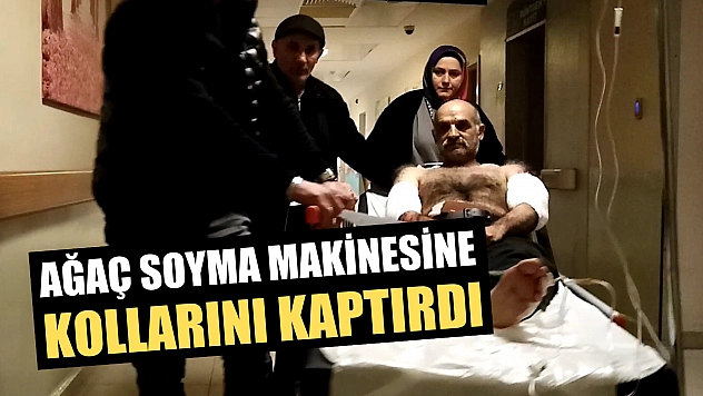Ağaç soyma makinesine kollarını kaptırdı