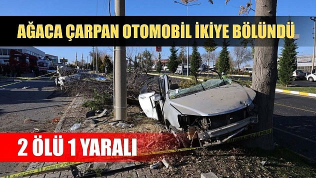 Ağaca çarpan otomobil ikiye bölündü: 2 ölü 1 yaralı