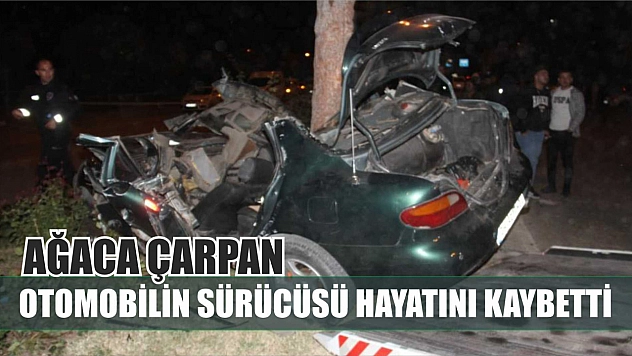 Ağaca çarpan otomobilin sürücüsü hayatını kaybetti