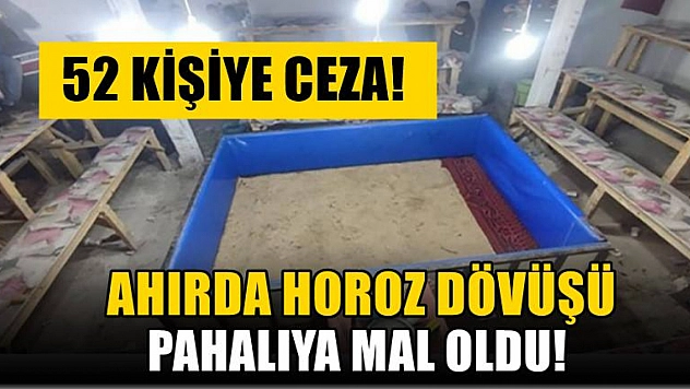 Ahırda Horoz Dövüşü Pahalıya Mal Oldu! 52 Kişiye Ceza!