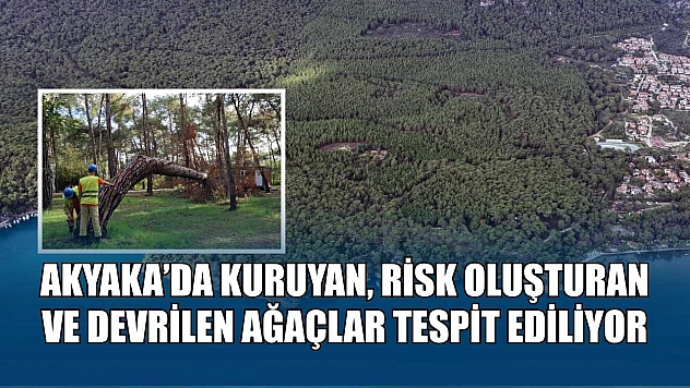Akyaka'da kuruyan, risk oluşturan ve devrilen ağaçlar tespit ediliyor