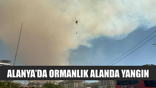 Alanya'da ormanlık alanda yangın
