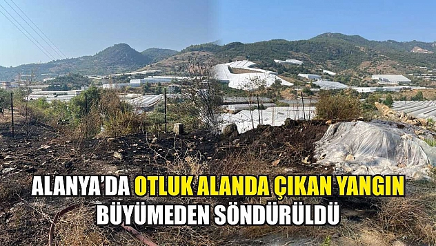 Alanya'da otluk alanda çıkan yangın büyümeden söndürüldü
