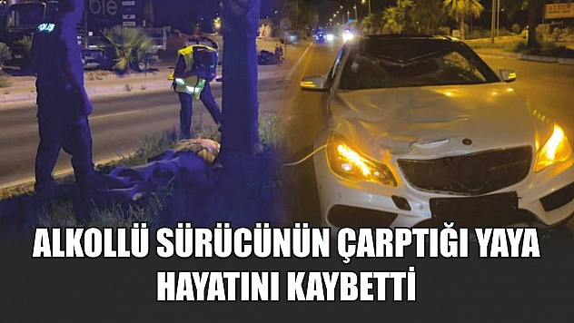 Alkollü sürücünün çarptığı yaya hayatını kaybetti
