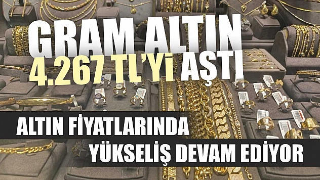 Altın fiyatlarında yükseliş devam ediyor: Gram altın 4.267 TL'yi aştı