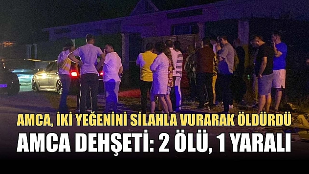 Amca dehşeti: 2 ölü, 1 yaralı