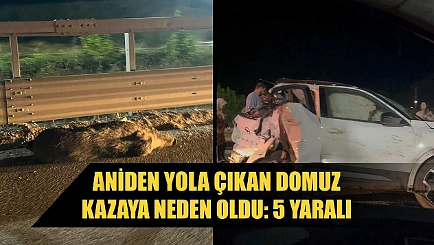 Aniden yola çıkan domuz kazaya neden oldu: 5 yaralı