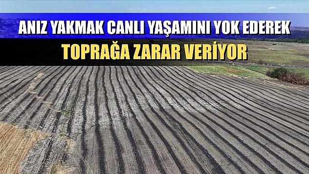 Anız yakmak canlı yaşamını yok ederek toprağa zarar veriyor