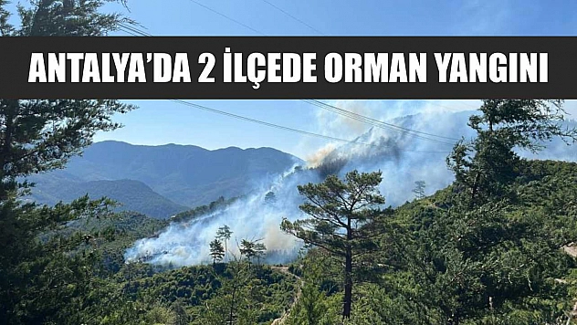 Antalya'da 2 ilçede orman yangını