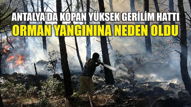 Antalya'da kopan yüksek gerilim hattı orman yangınına neden oldu