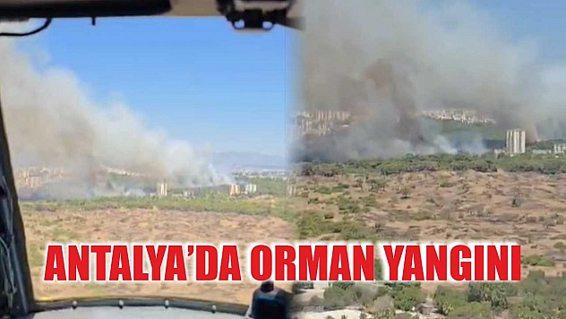 Antalya'da orman yangını