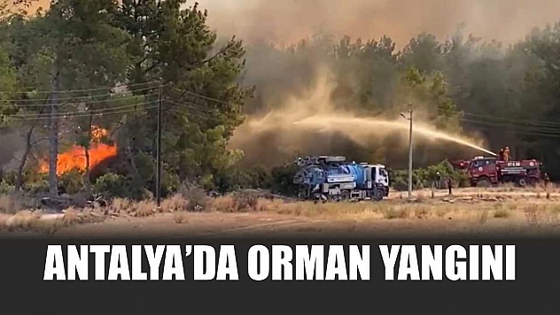 Antalya'da orman yangını