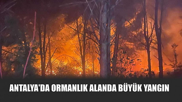 Antalya'da ormanlık alanda büyük yangın