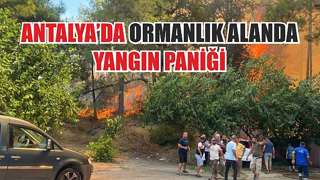 Antalya'da ormanlık alanda yangın paniği