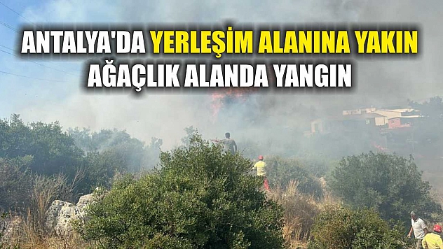 Antalya'da yerleşim alanına yakın ağaçlık alanda yangın