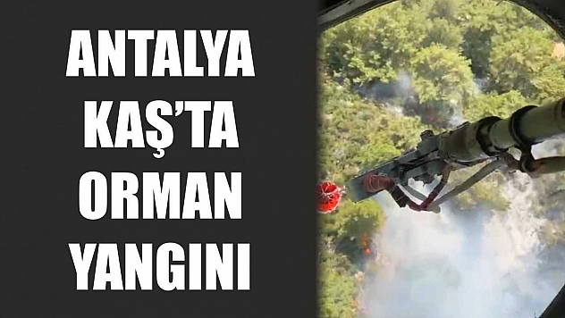 Antalya Kaş'ta orman yangını