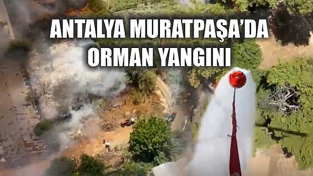 Antalya Muratpaşa'da orman yangını