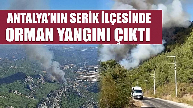 Antalya'nın Serik İlçesinde Orman Yangını Çıktı