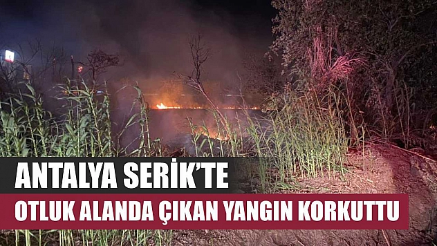 Antalya Serik'te otluk alanda çıkan yangın korkuttu