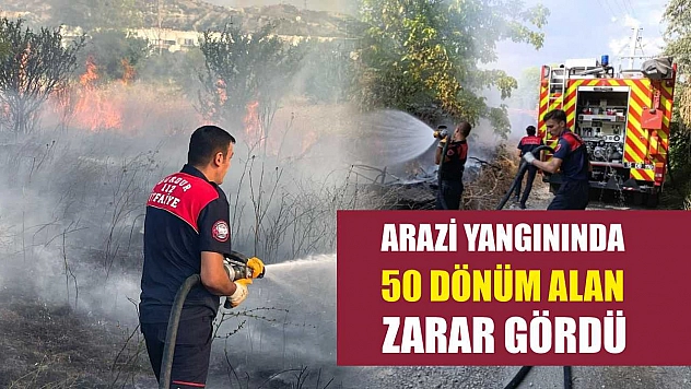 Arazi yangınında 50 dönüm alan zarar gördü