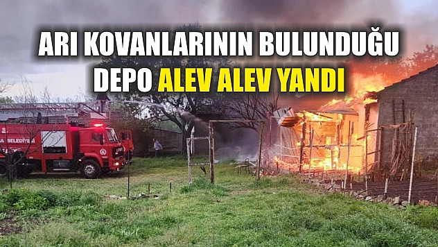 Arı kovanlarının bulunduğu depo alev alev yandı