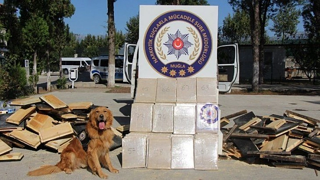 Arı kovanlarının içine gizlenmiş 152 kilo eroin ele geçirildi