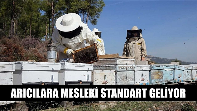 Arıcılara mesleki standart geliyor