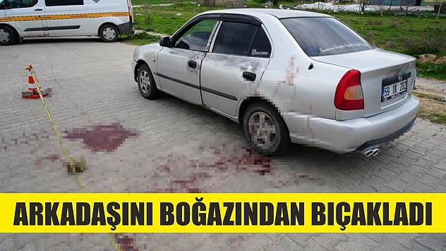 Arkadaşını boğazından bıçakladı